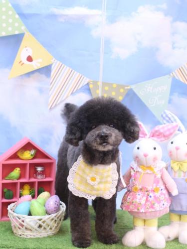 20240305コタロウくん